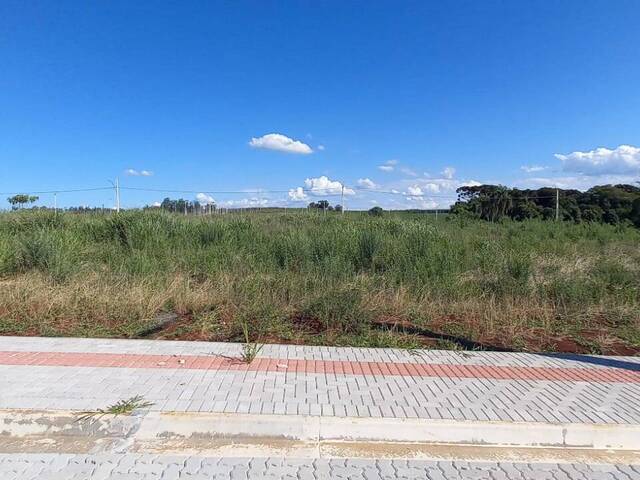 #185 - Área para Venda em Guatambú - SC - 3
