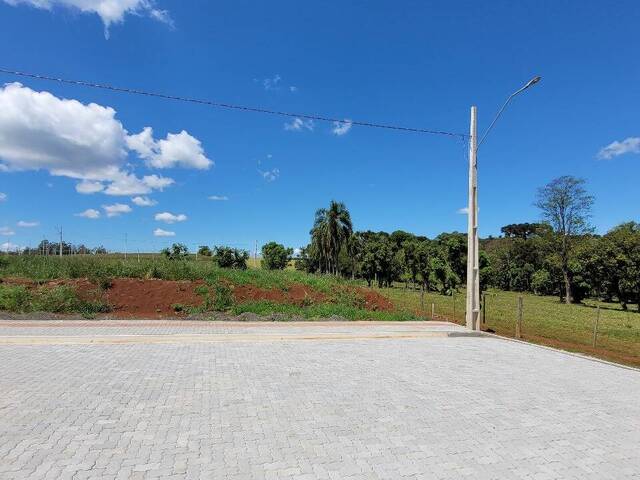 #252 - Área para Venda em Guatambú - SC - 1