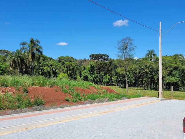 #252 - Área para Venda em Guatambú - SC - 2