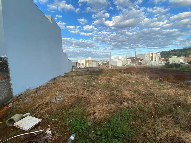 #253 - Área para Venda em Chapecó - SC - 1