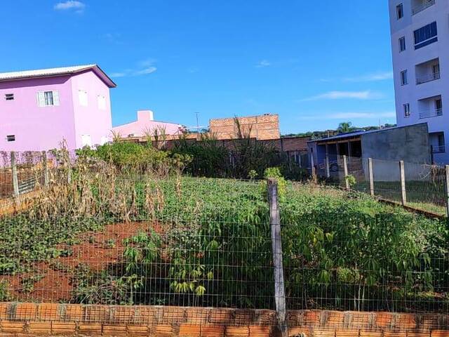 #293 - Área para Venda em Chapecó - SC - 1