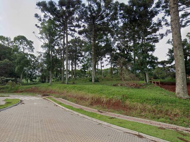 #300 - Terreno para Venda em Chapecó - SC - 2