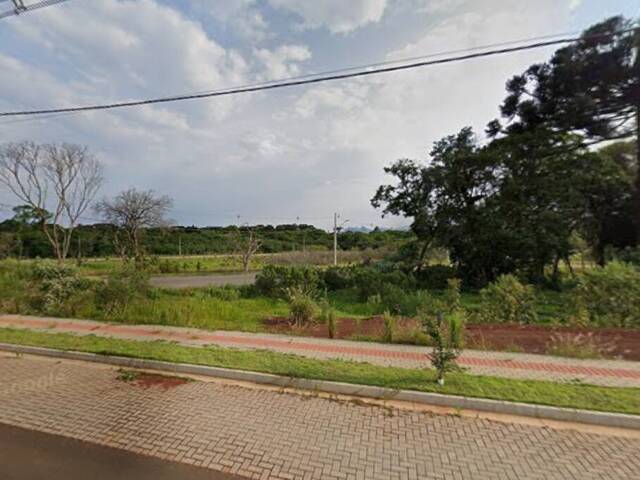 #302 - Terreno para Venda em Chapecó - SC - 1