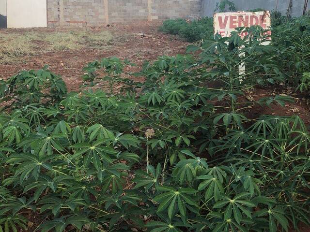 #348 - Terreno para Venda em Chapecó - SC - 1