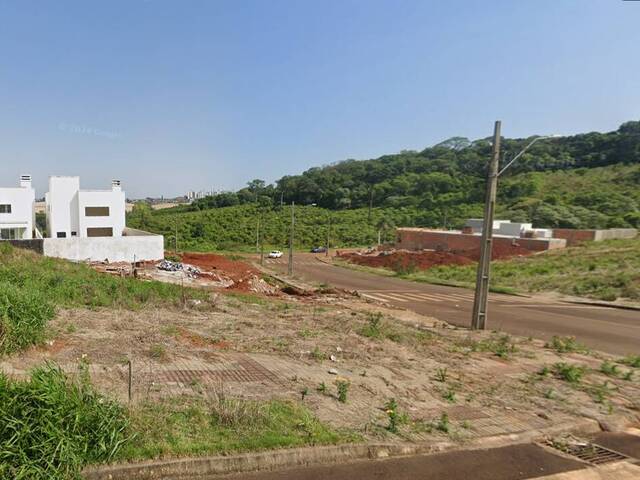 #393 - Terreno para Venda em Chapecó - SC - 1