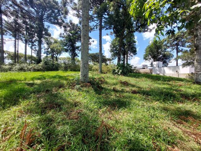 Terreno para Venda em Chapecó - 5