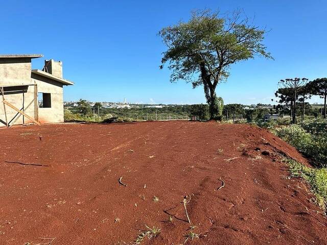 #397 - Terreno para Venda em Chapecó - SC - 1