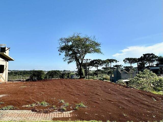 #397 - Terreno para Venda em Chapecó - SC - 3