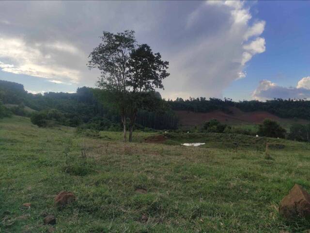 #416 - Chácara para Venda em Nova Itaberaba - SC - 3