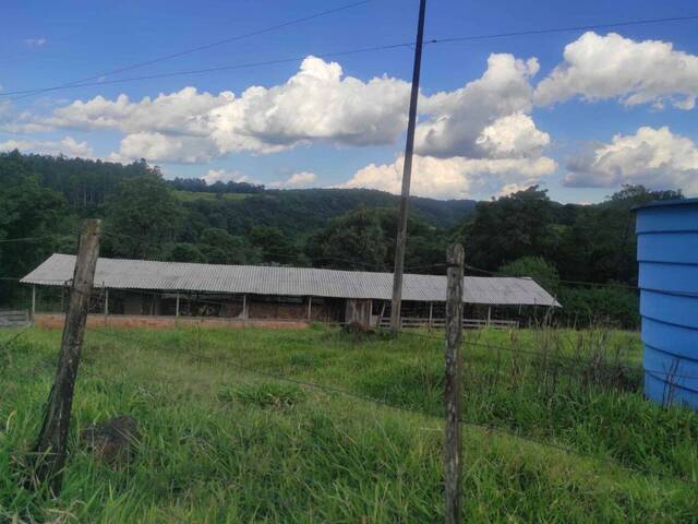 #416 - Chácara para Venda em Nova Itaberaba - SC - 1