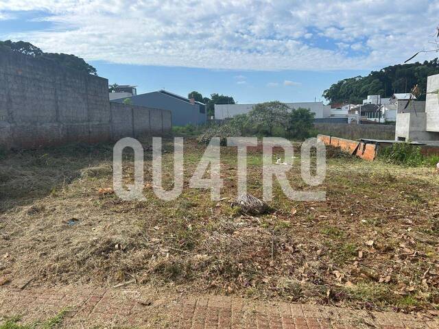 #449 - Terreno para Venda em Chapecó - SC - 1