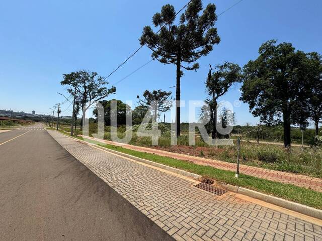 #498 - Área para Venda em Chapecó - SC - 3